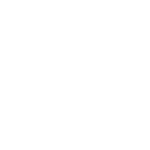 Transition Assessment and support